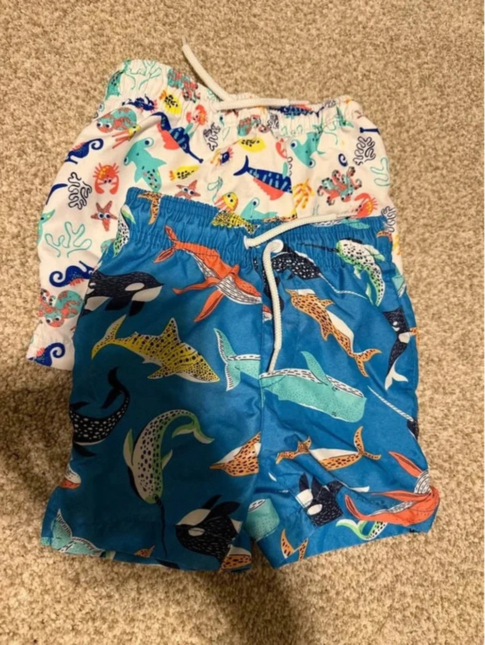 Swim Trunks Size 2T (2)